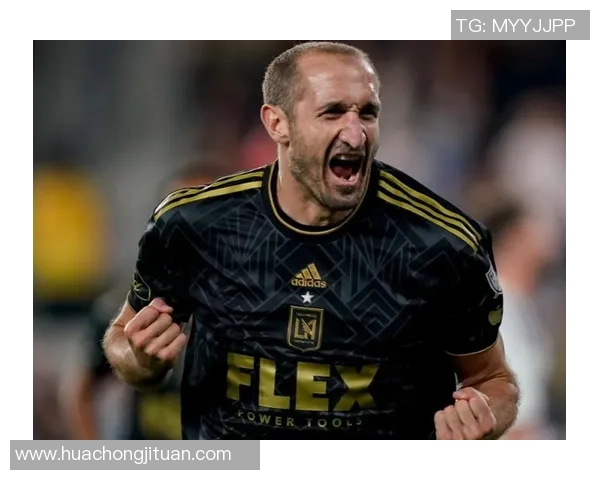 欧洲足球明星的黑色传奇与辉煌成就探索