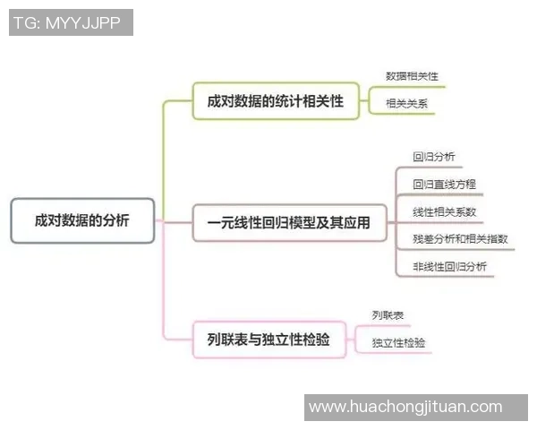 杭州足球队耐力表现数据分析及其对比赛结果的影响探讨